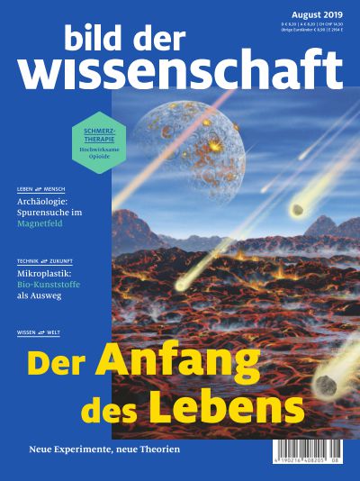 Der Anfang des Lebens