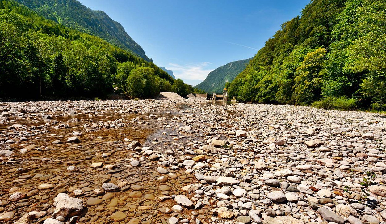 Alpen: Pflanzen verstärken Wassermangel
