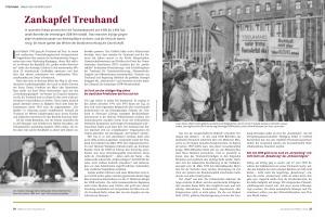 Zankapfel Treuhand