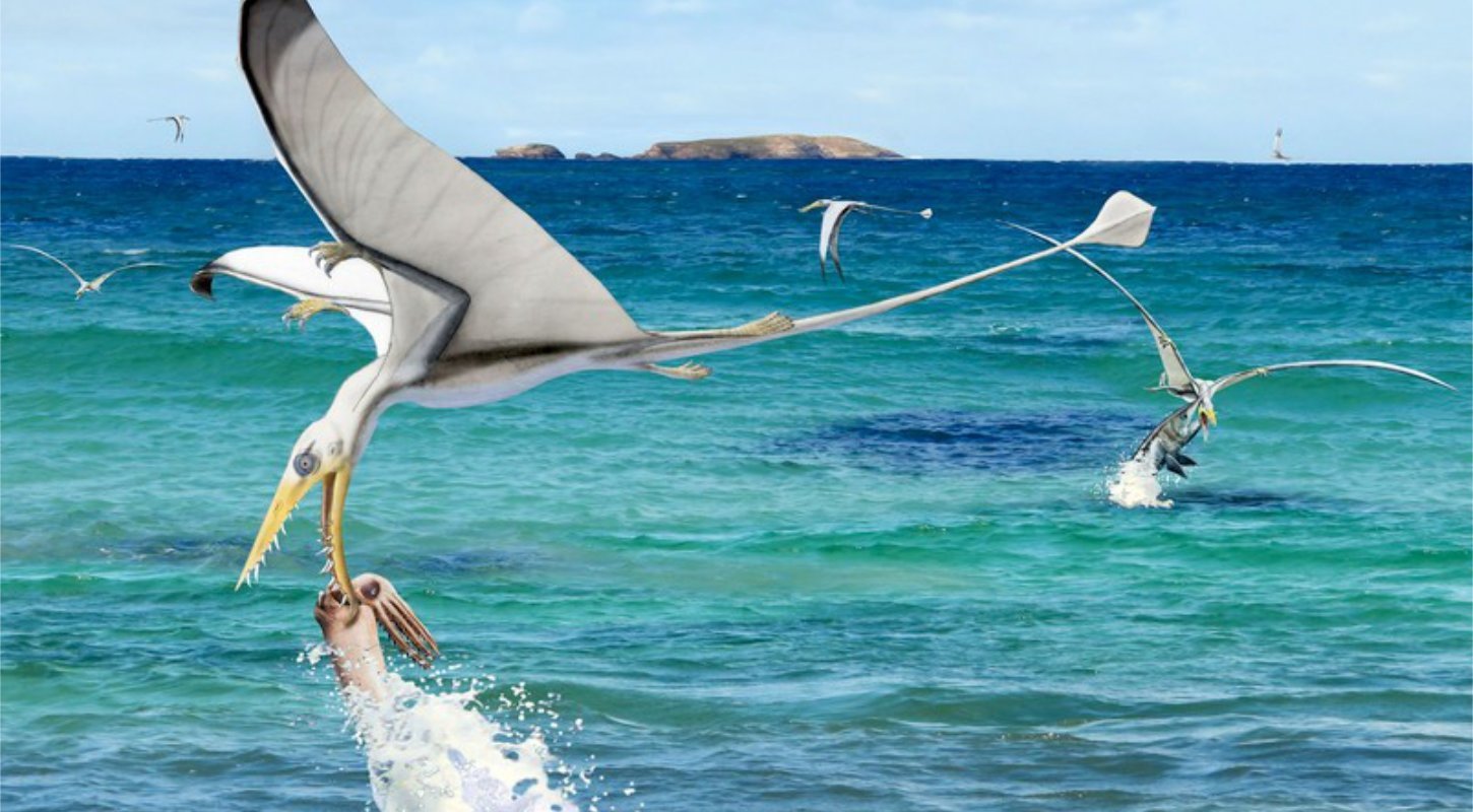 Flugsaurier: Tintenfisch-Jagd mit Zahnverlust