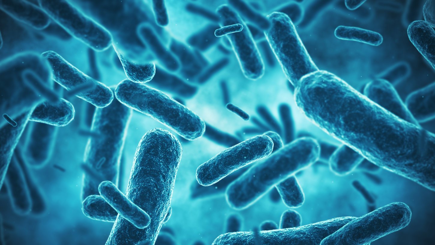 Fördern E. coli-Bakterien Darmkrebs?