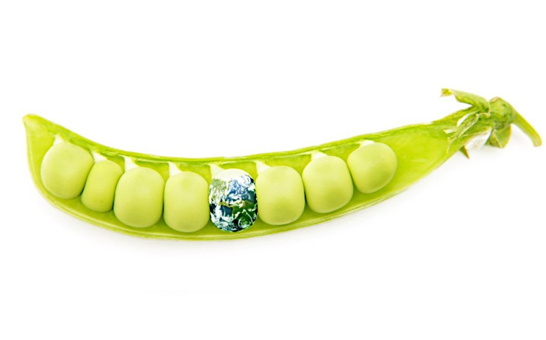 Grüne Hoffnung für die Welternährung