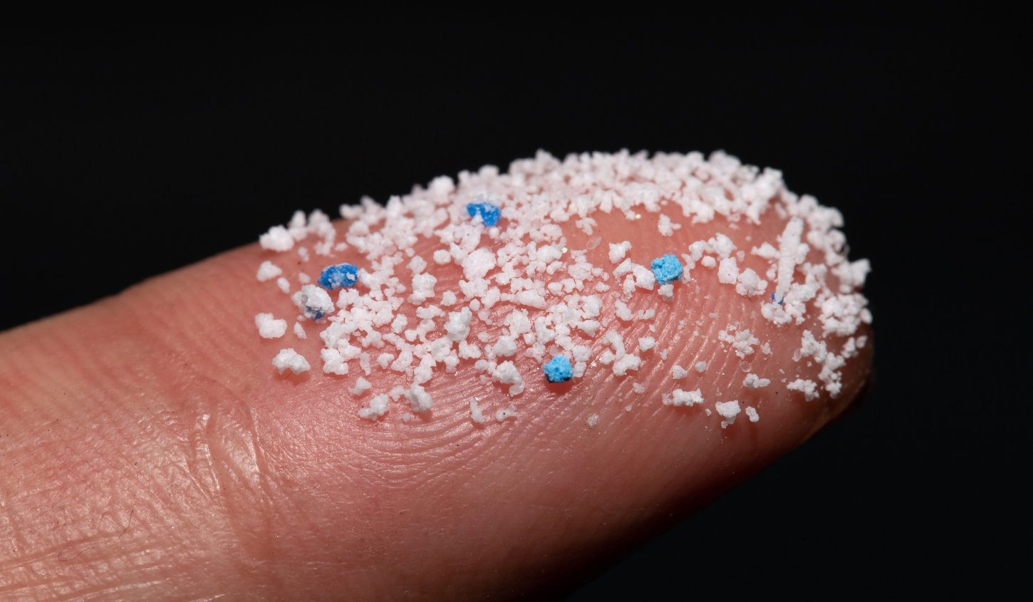 Mikroplastik stört Sedimentbewohner