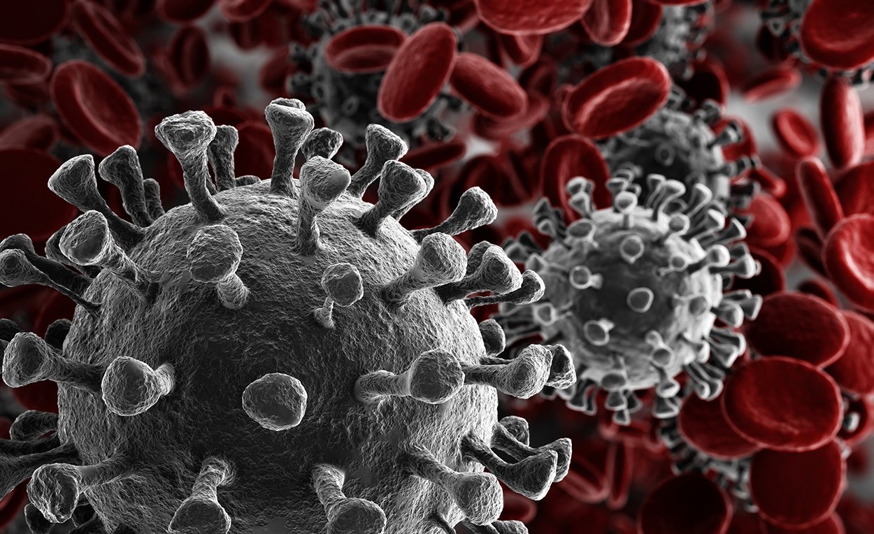 Wie saisonal ist das Coronavirus?