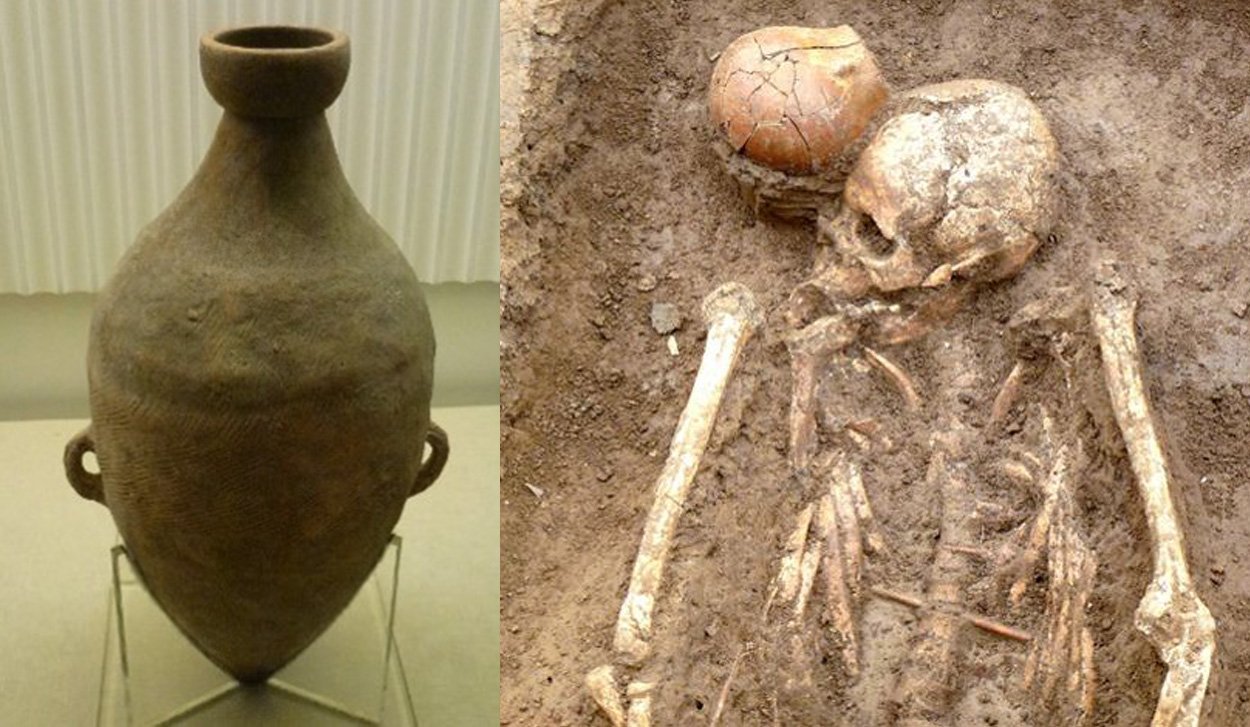 Der Ursprung des Weinbaus liegt in China