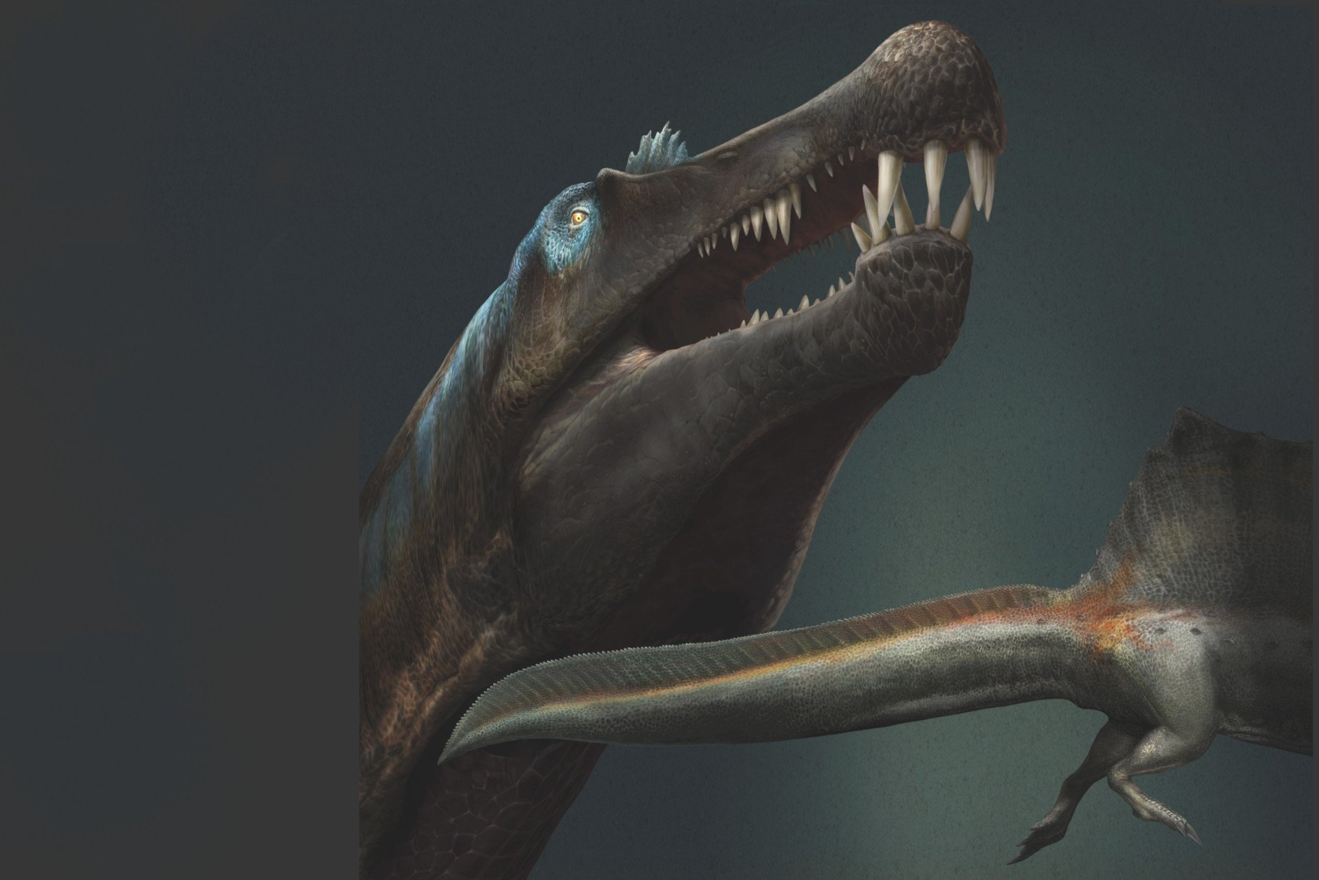 Promi-Dino mit Schwimm-Schwanz