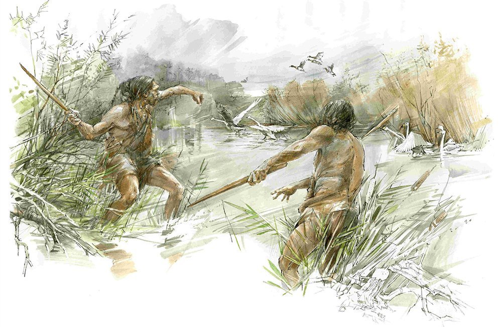 Wurfstock des Homo heidelbergensis entdeckt