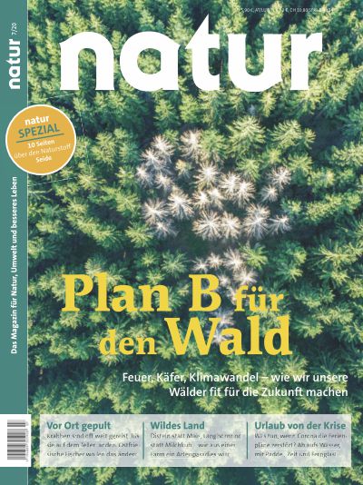 Plan B für den Wald