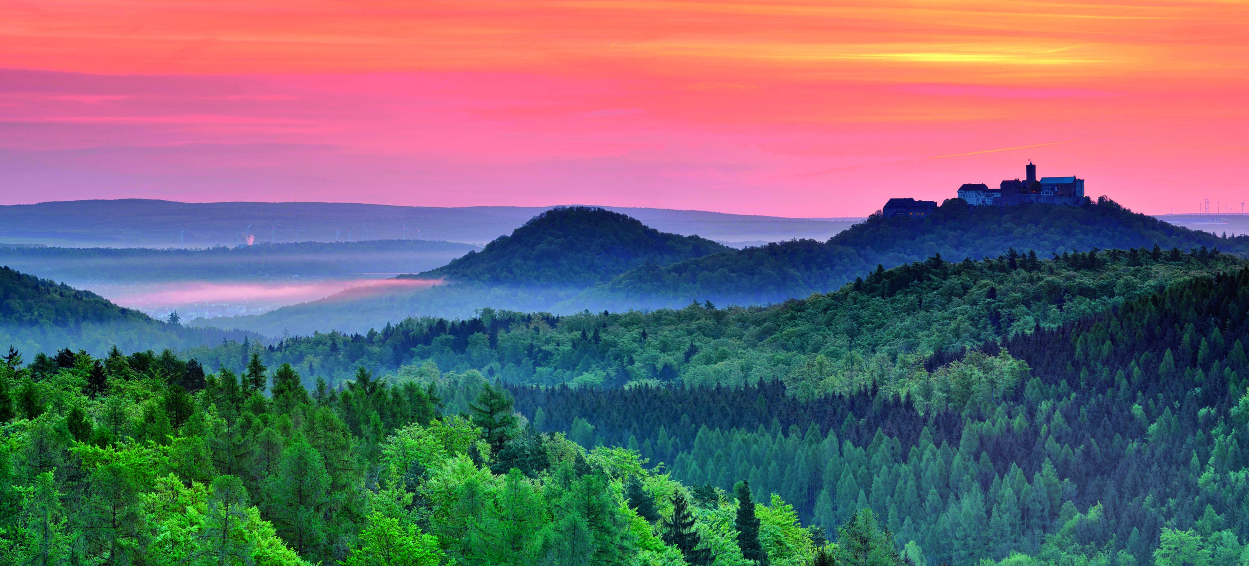 Wald des Wachsens - Der Thüringer Wald