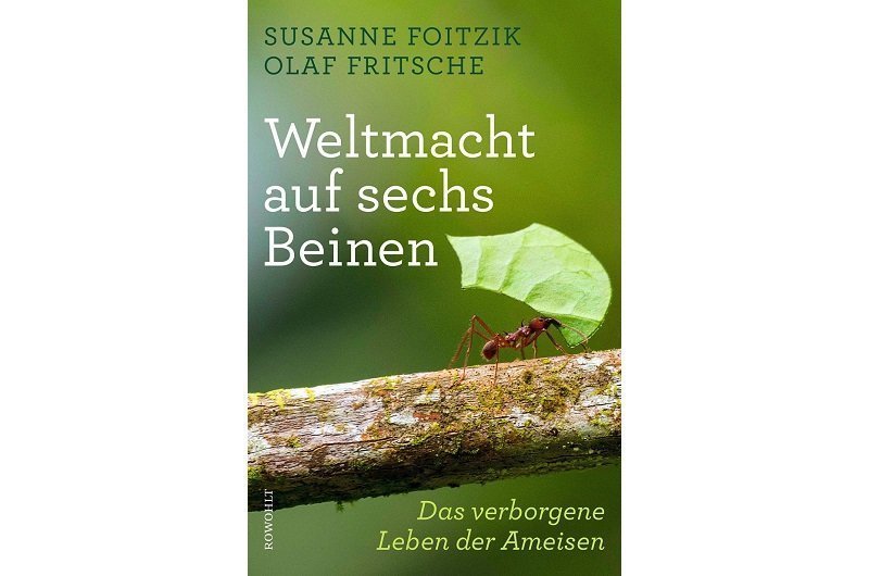 Grausam und sozial – wie wir