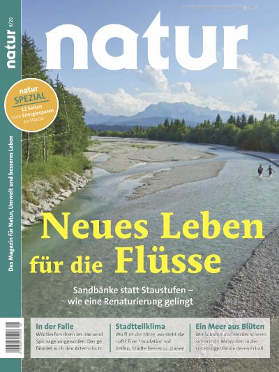Neues Leben für die Flüsse