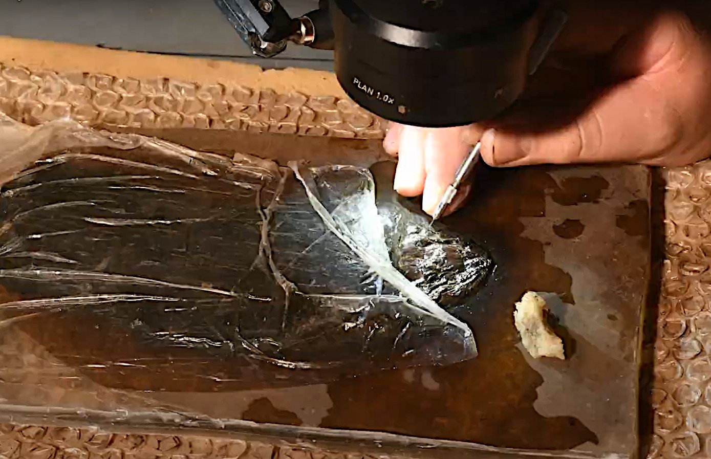 Einblick in die Fossilien-Präparation