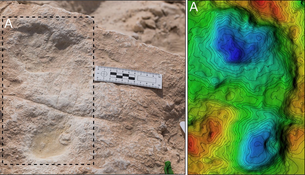 Mensch erreichte Arabien schon vor 120.000 Jahren