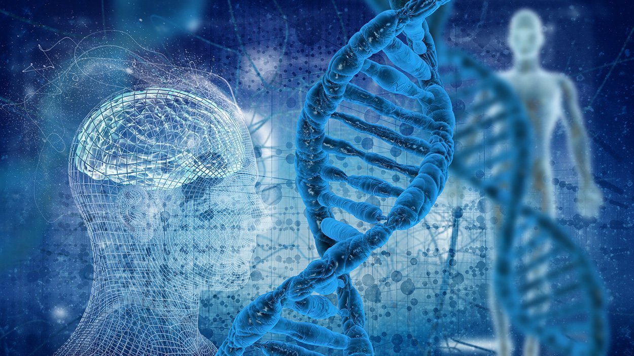 Neue Einblicke in die Genregulation