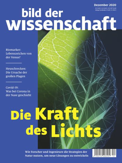 bild der wissenschaft 12-2020