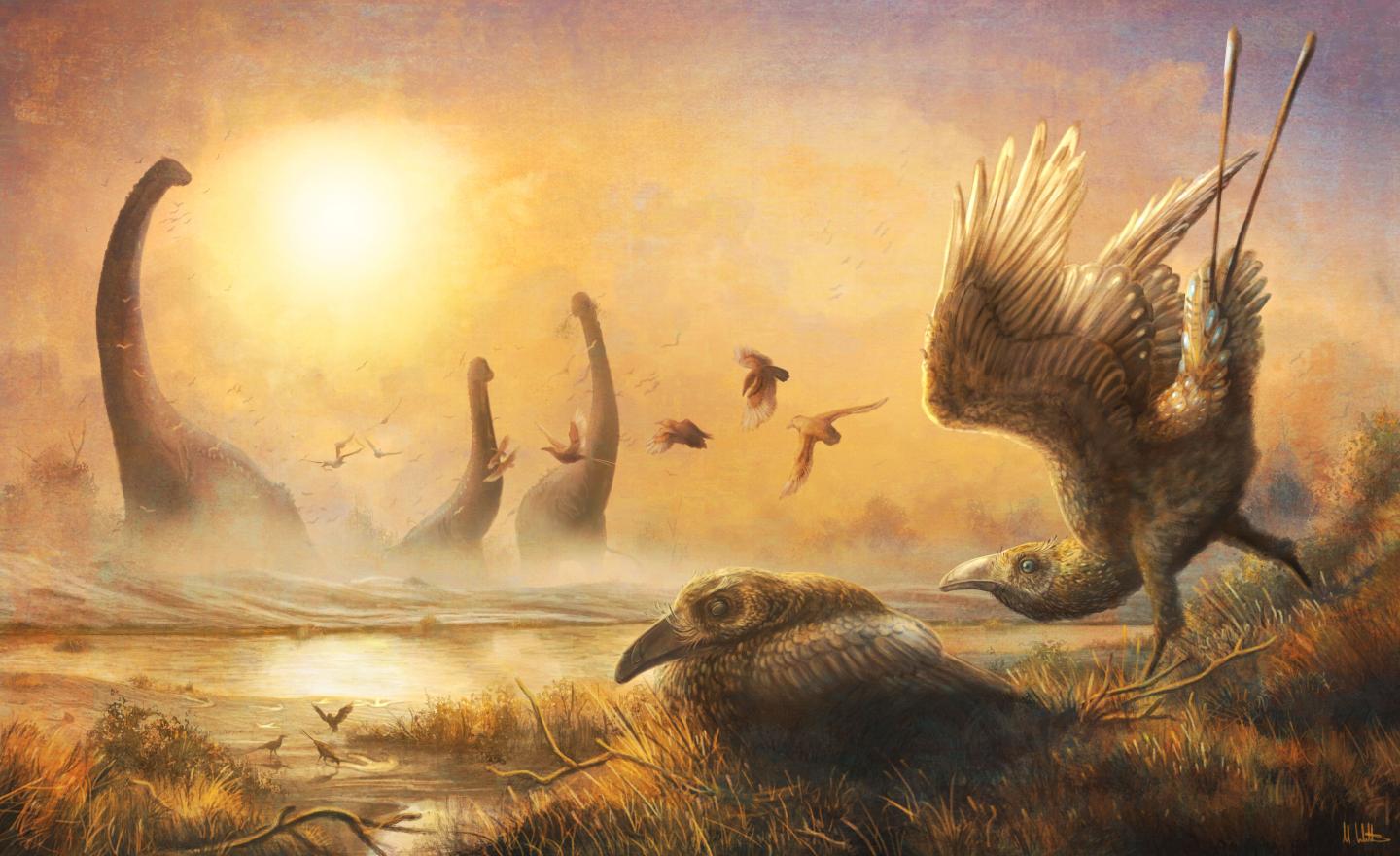 „Tukan“ der Dino-Ära entdeckt