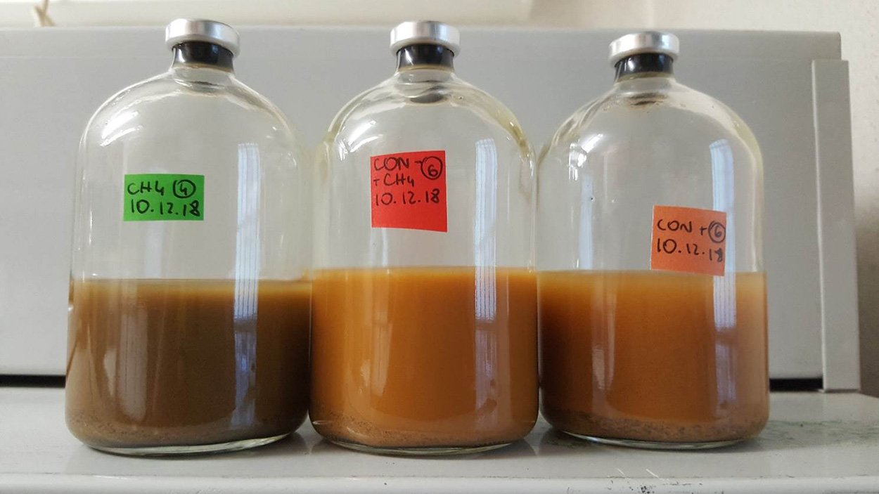 Wie Bakterien Arsen ins Grundwasser freisetzen