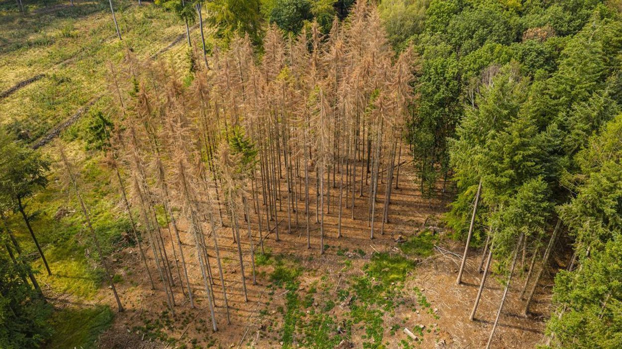 April stellt Weichen für Dürre im Sommer