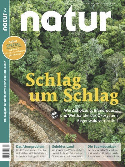 Schlag um Schlag