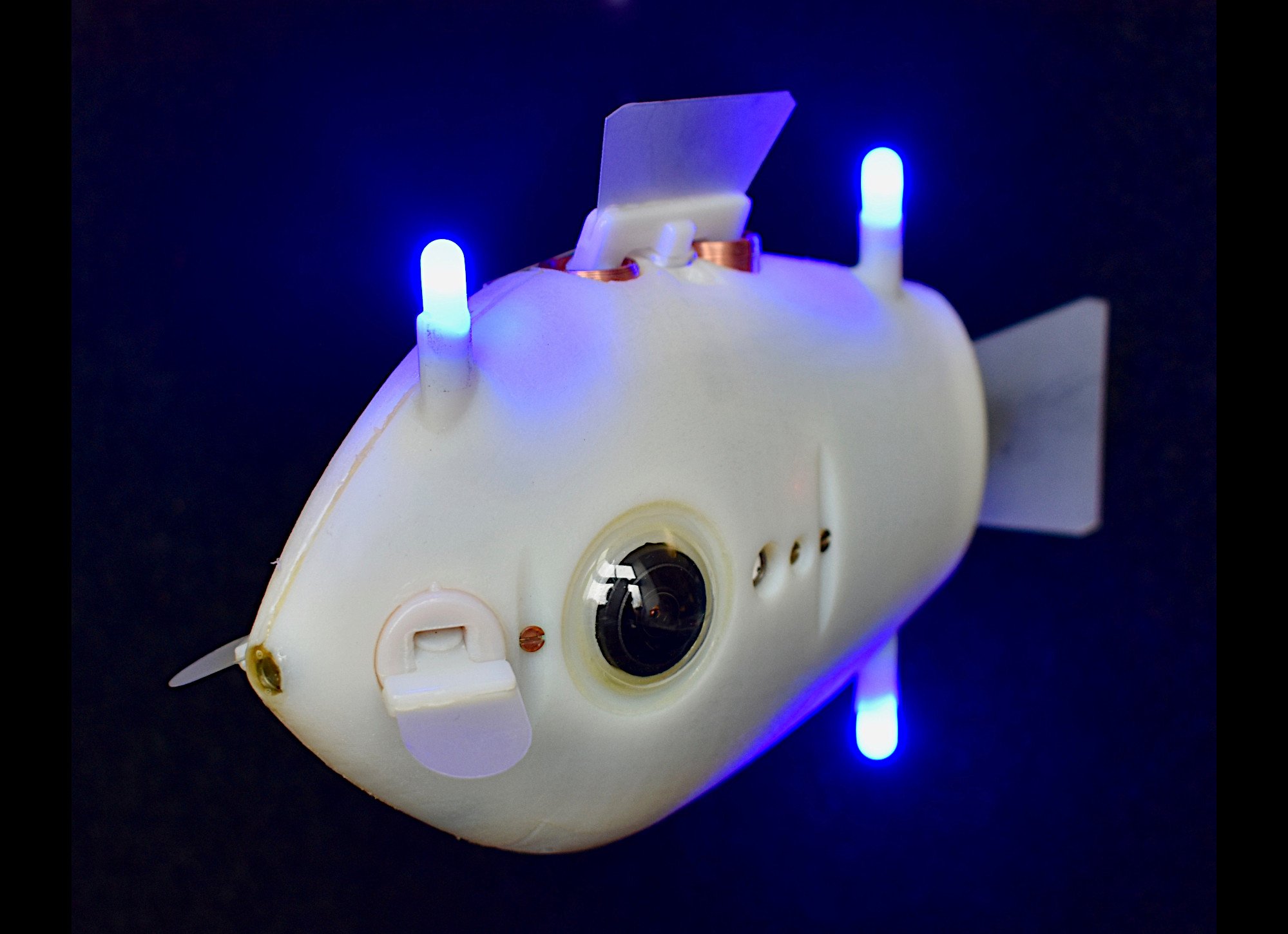 Robo-Fische zeigen Schwarmverhalten