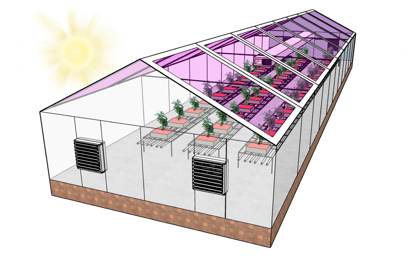 Gutes Wachstum unter Transparent-Solarzellen