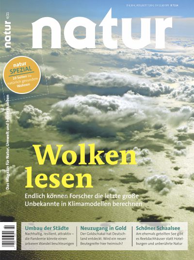 Wolken lesen