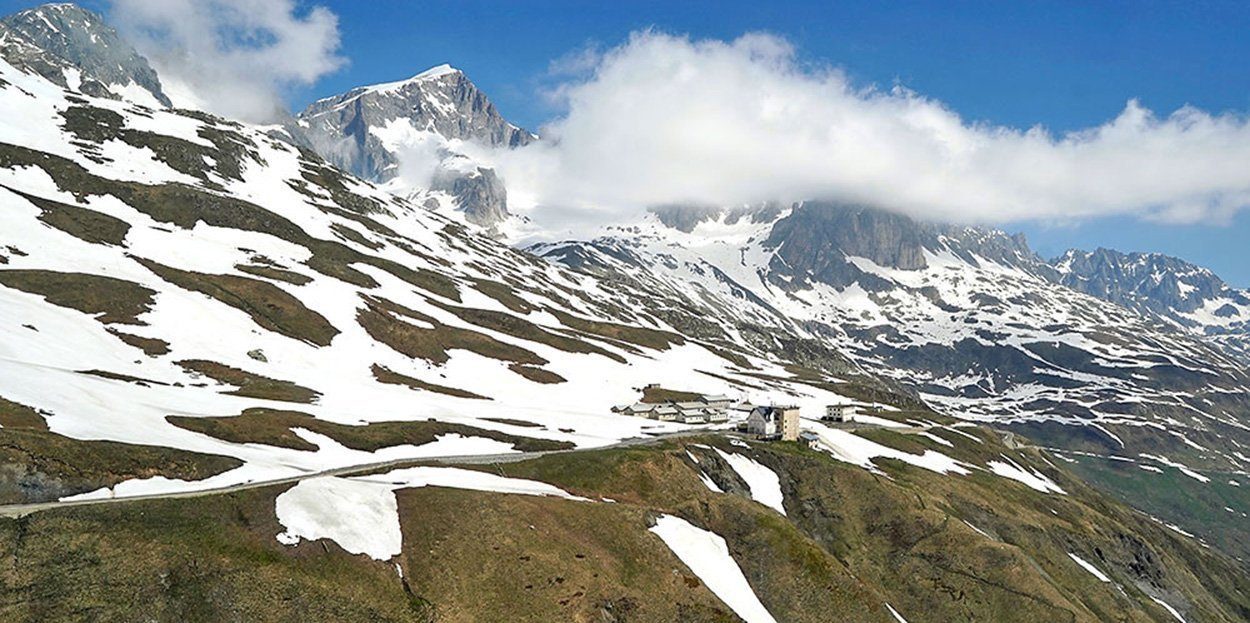 Alpenpflanzen verlieren ihren "weißen Schutz"