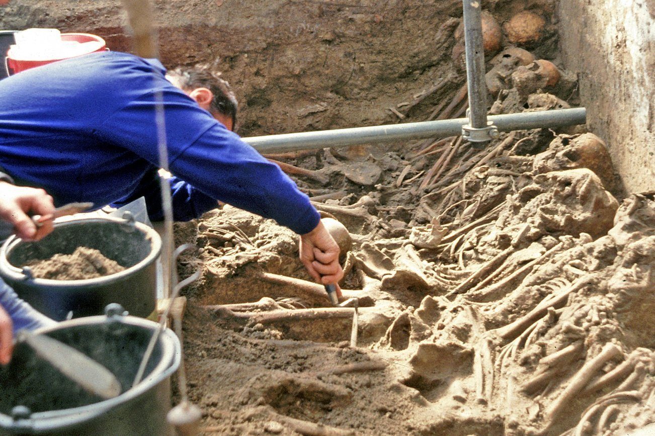 „Pestilenz“ entpuppt sich als Paratyphus