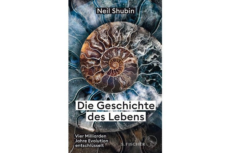 Achterbahnfahrt ohne Ziel