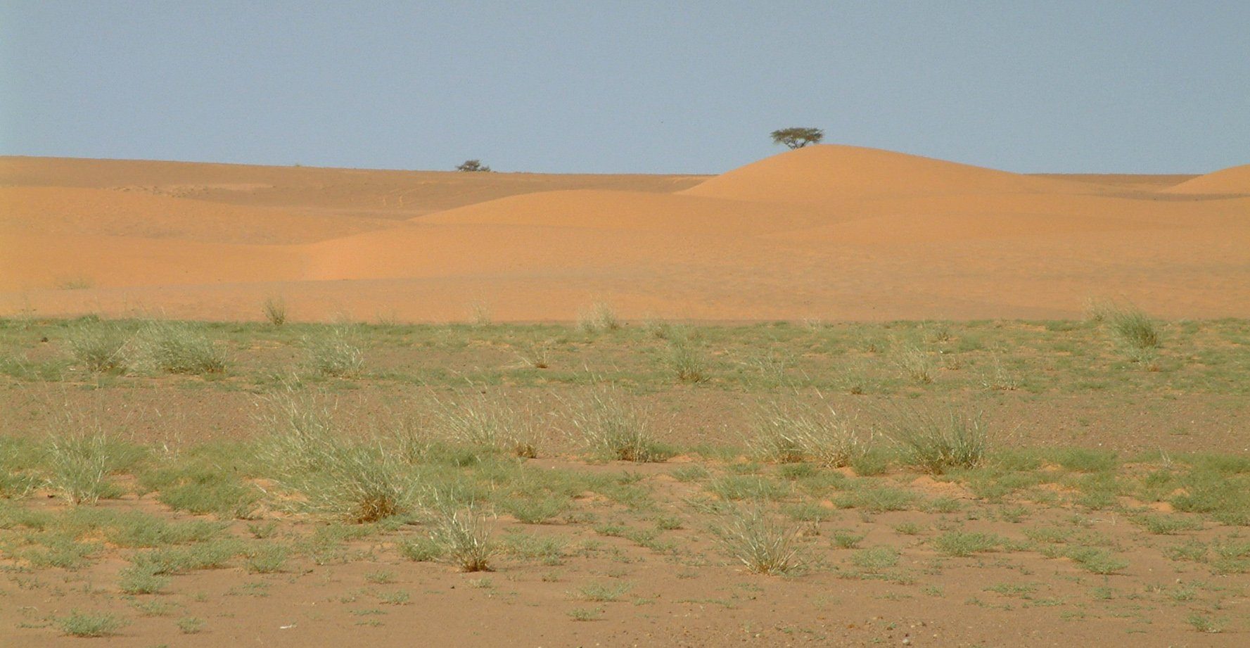 Dem Geheimnis der grünen Sahara auf der Spur