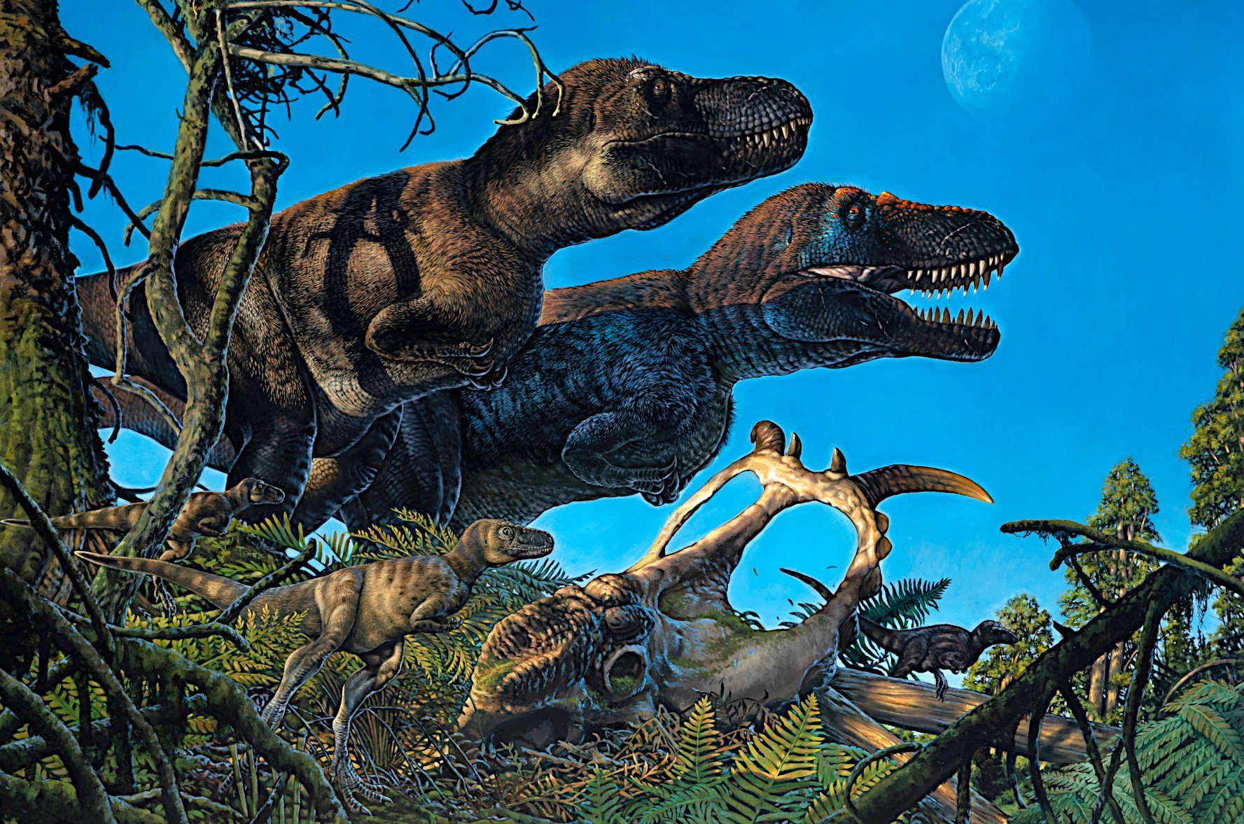 Dino-Kinderstube im kalten Norden entdeckt