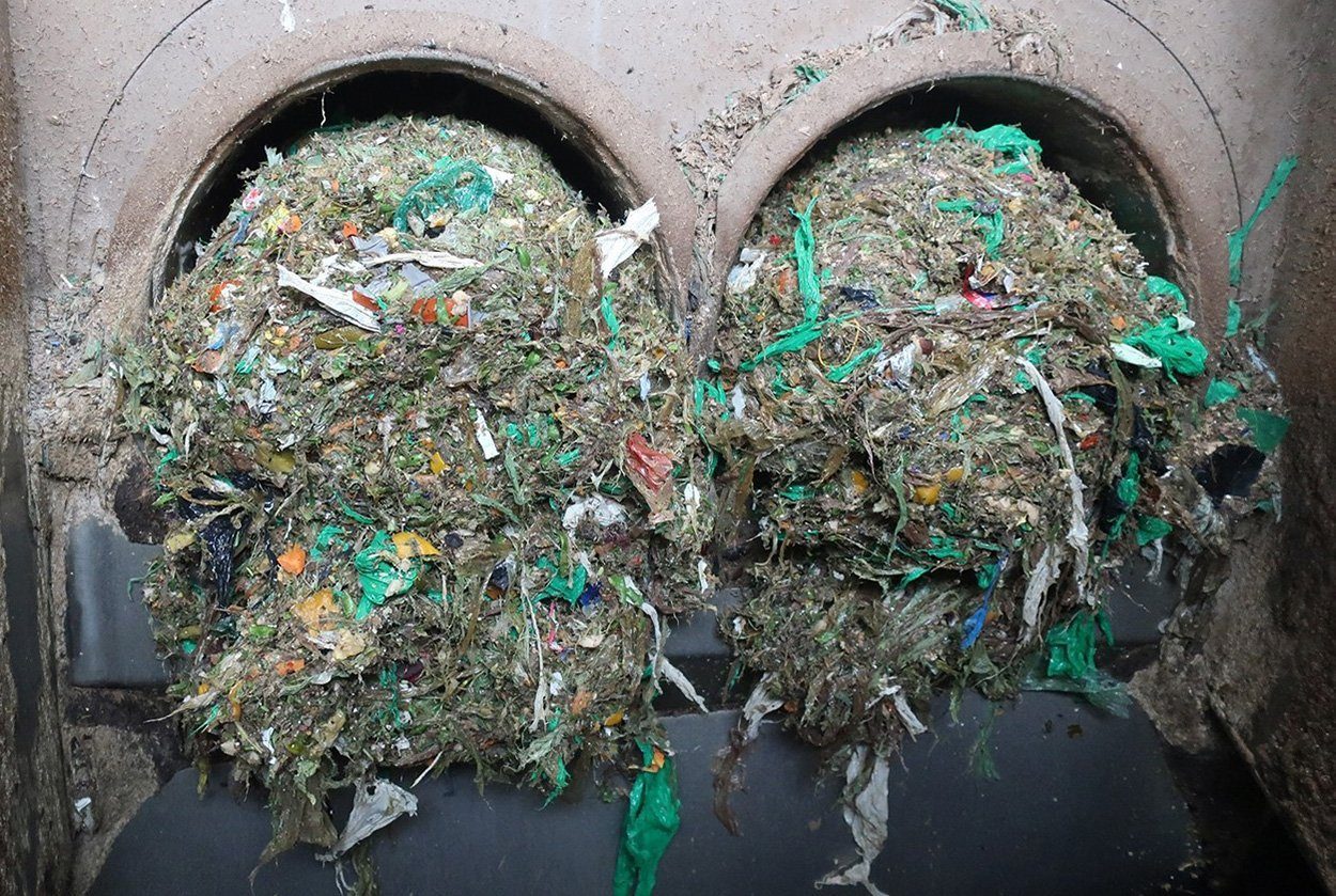 Plastikmüll: Folgen könnten irreversibel sein