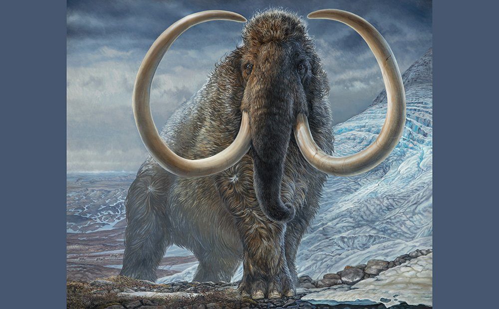 Mit einem Mammut unterwegs