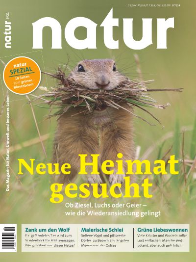 Neue Heimat gesucht