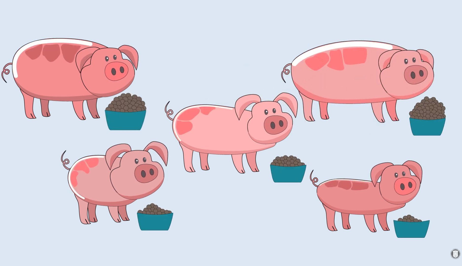 Clevere Schweinefütterung: Individuell & ökologisch