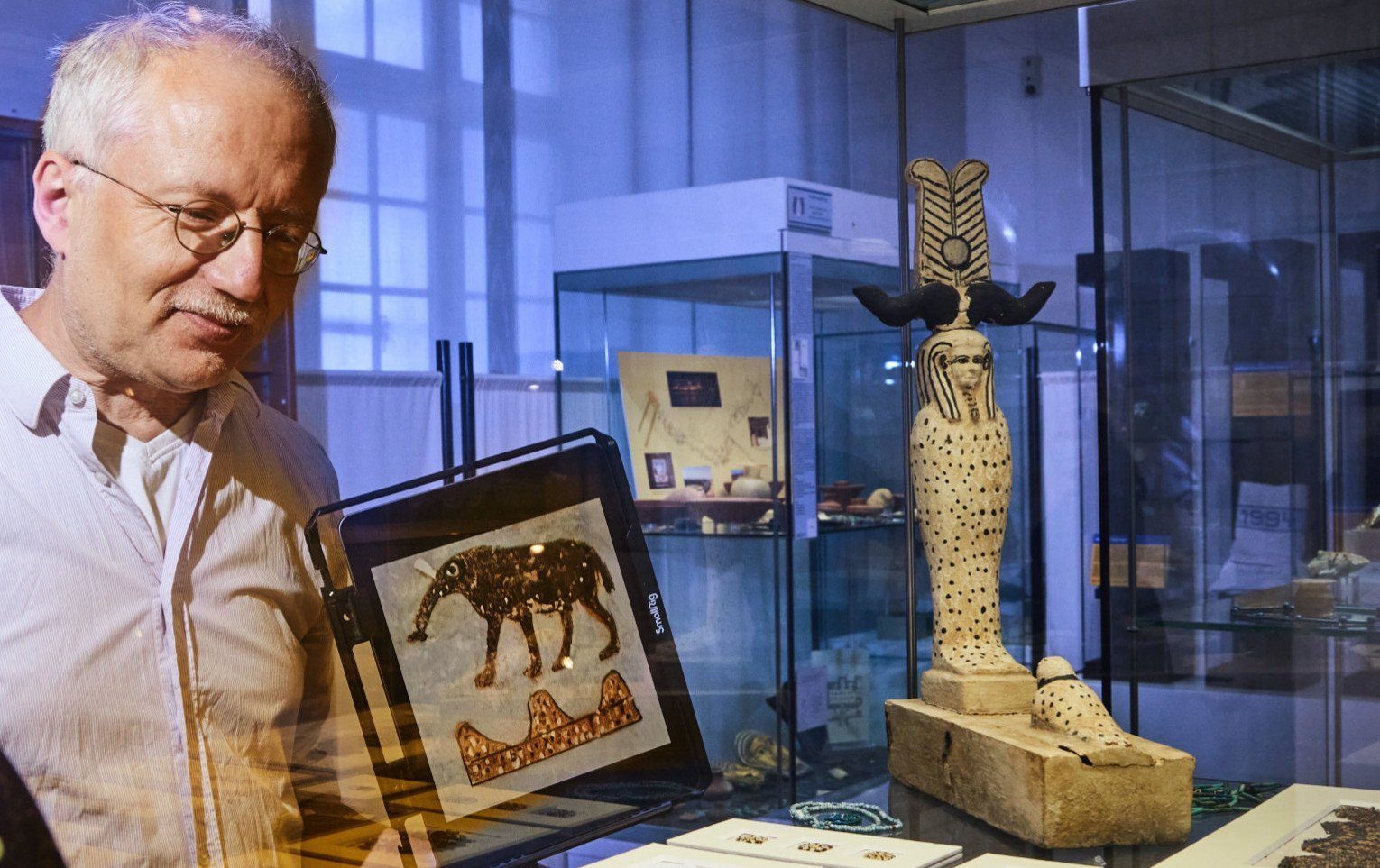 Eine elefantöse Insel im Visier