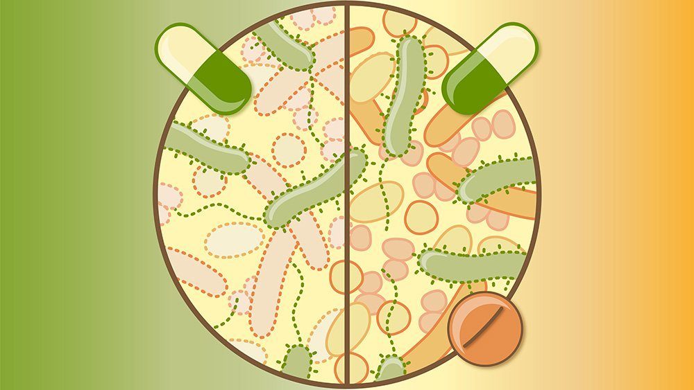 Neuer Ansatz gegen Nebenwirkungen von Antibiotika