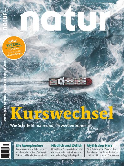 Kurswechsel