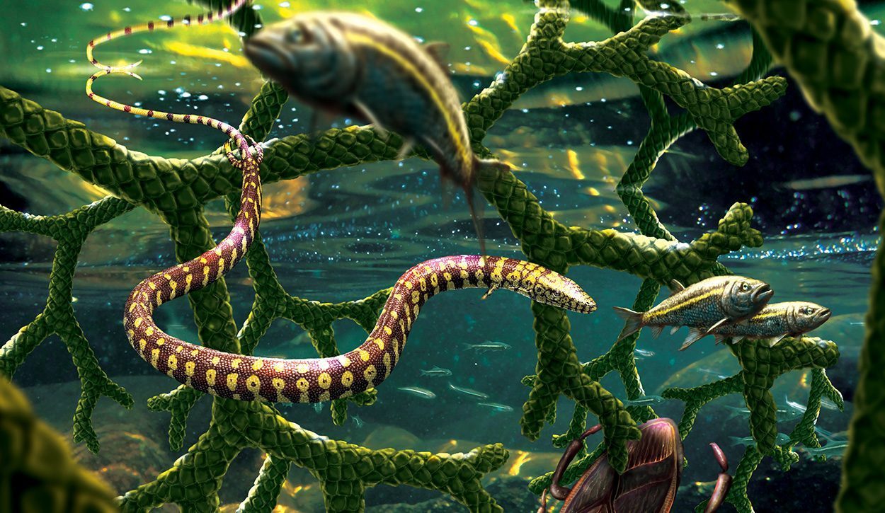 "Urschlangen"-Fossil ist eine Meeresechse