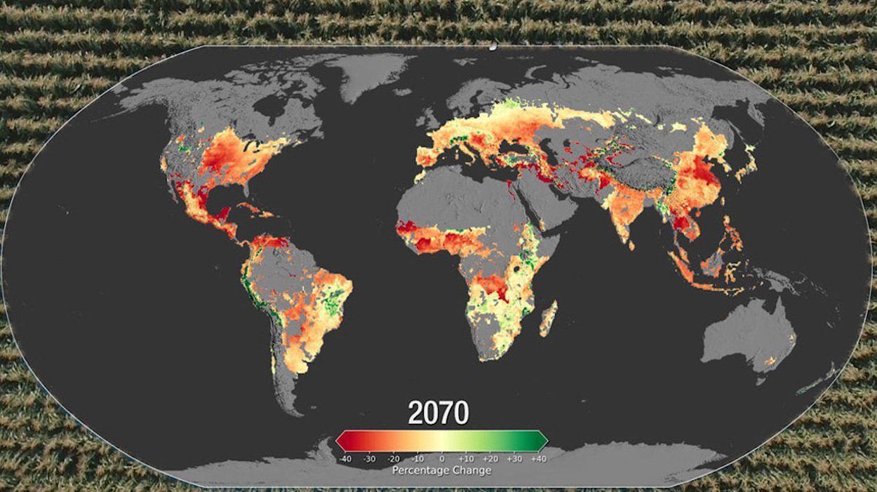 Wie der Klimawandel Ernten beeinflusst