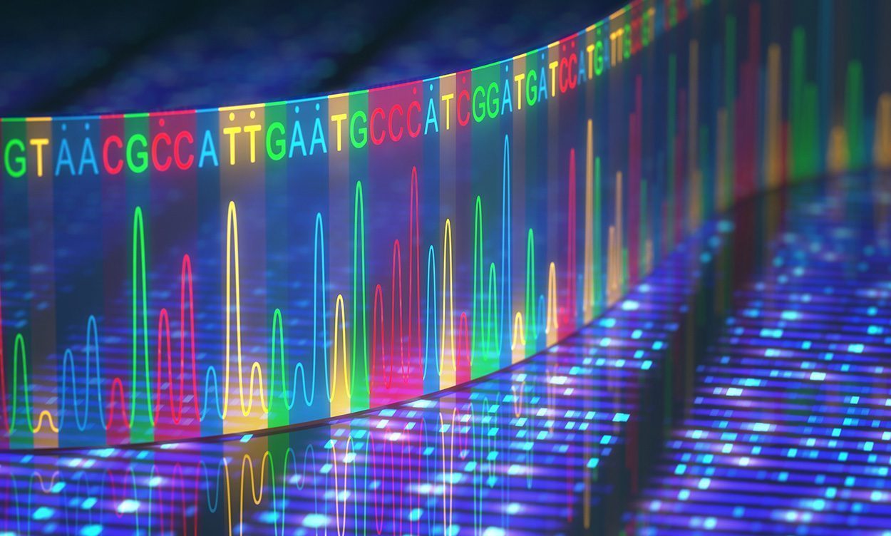 Artbestimmung: DNA-Barcoding für alle