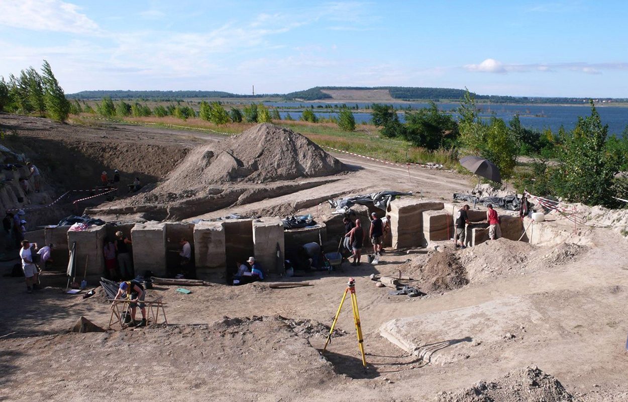 Wie Neandertaler ihre Umwelt veränderten