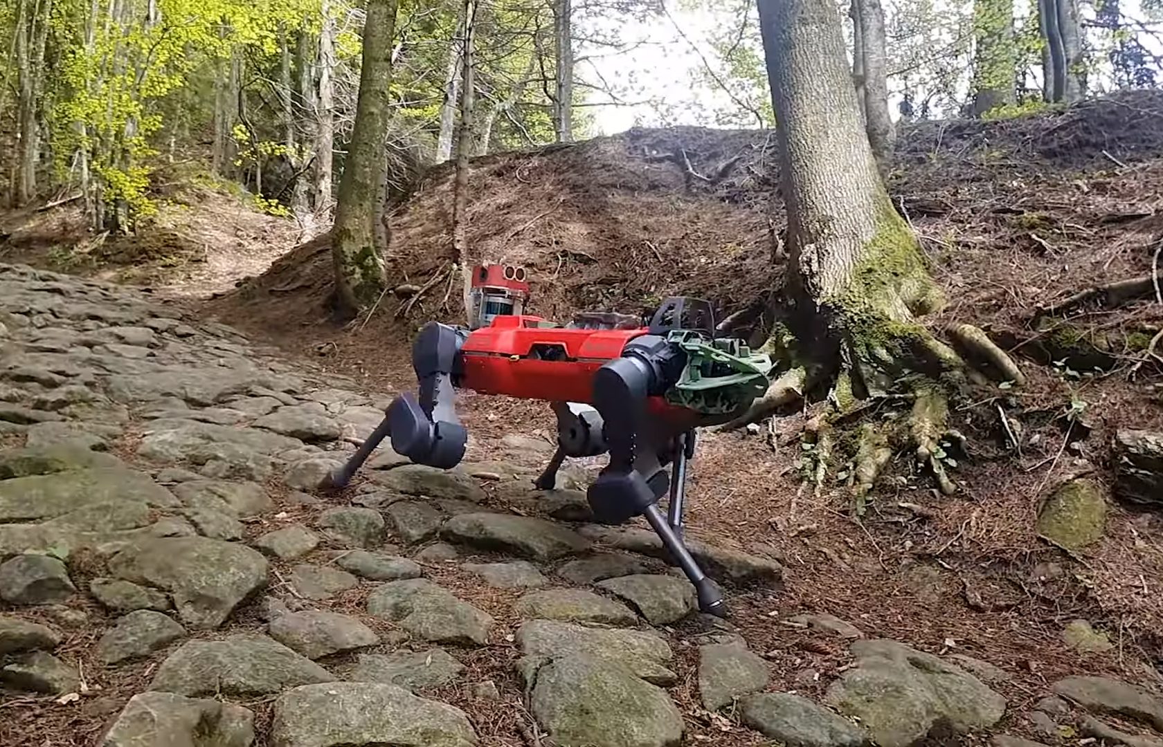 „Robo-Hund“ wandert souverän zum Gipfel