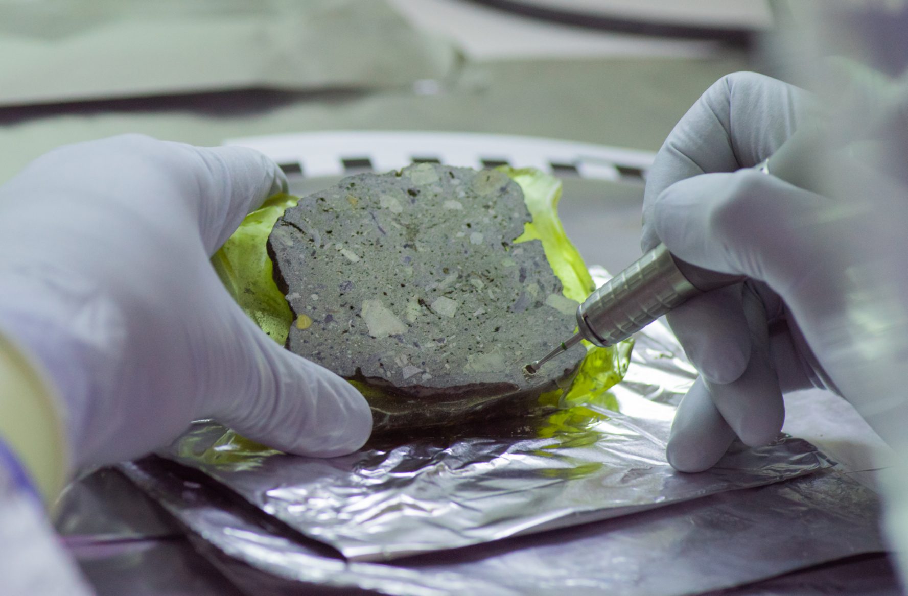 Spannender DNA in Sedimenten auf der Spur