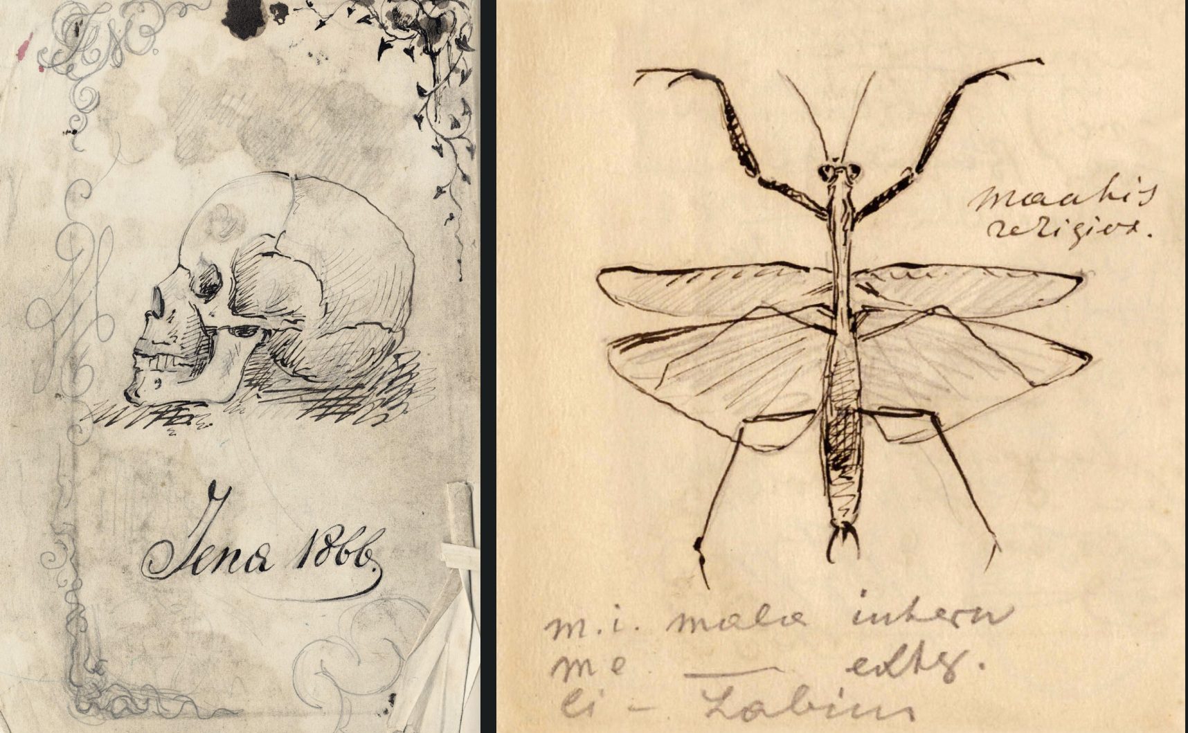 Historische Vorlesungsmitschriften entdeckt