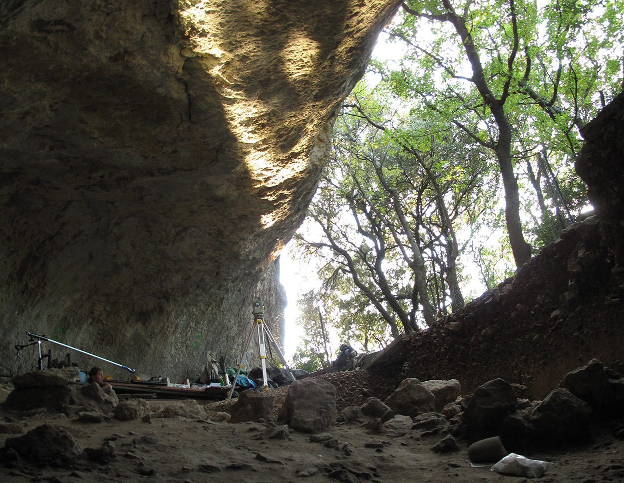 Koexistenz von Neandertaler und Homo sapiens