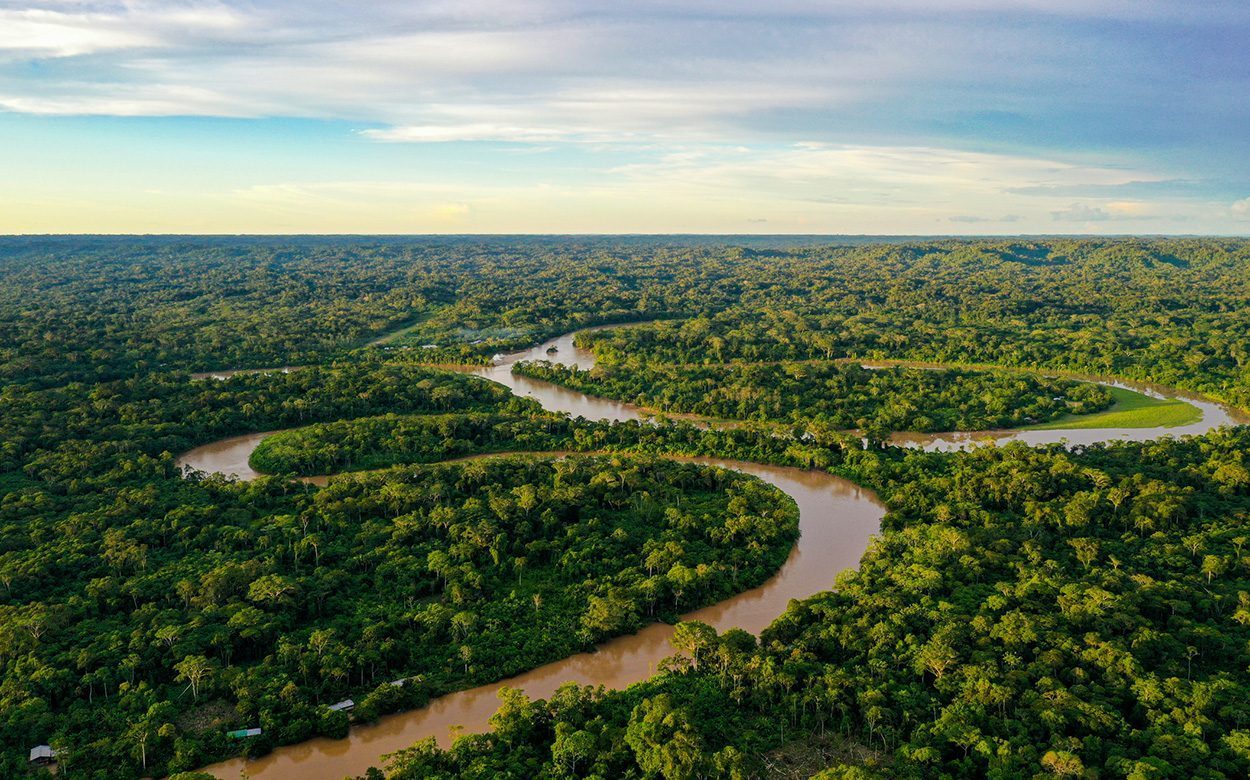 Amazonas-Regenwald verliert seine Resilienz
