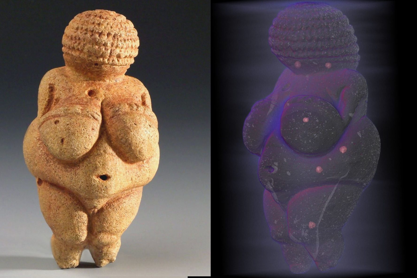 Der Venus von Willendorf auf der Spur