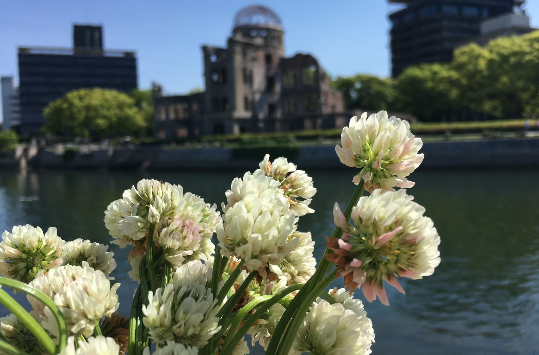 Stadt als Evolutionsfaktor