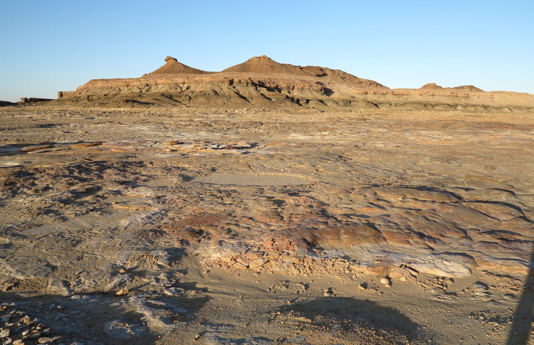 Vertrockneter See erzählt Klimageschichte
